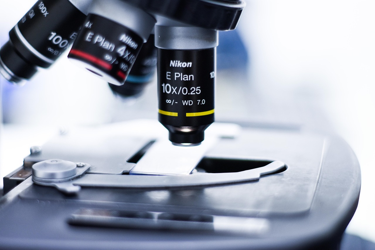 在线DDOS压力测试网页端|乌鲁木齐快递代理转让平台