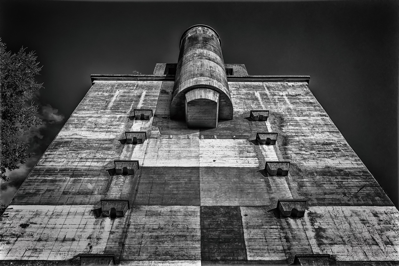 如何使用有机搜索来加强SEO