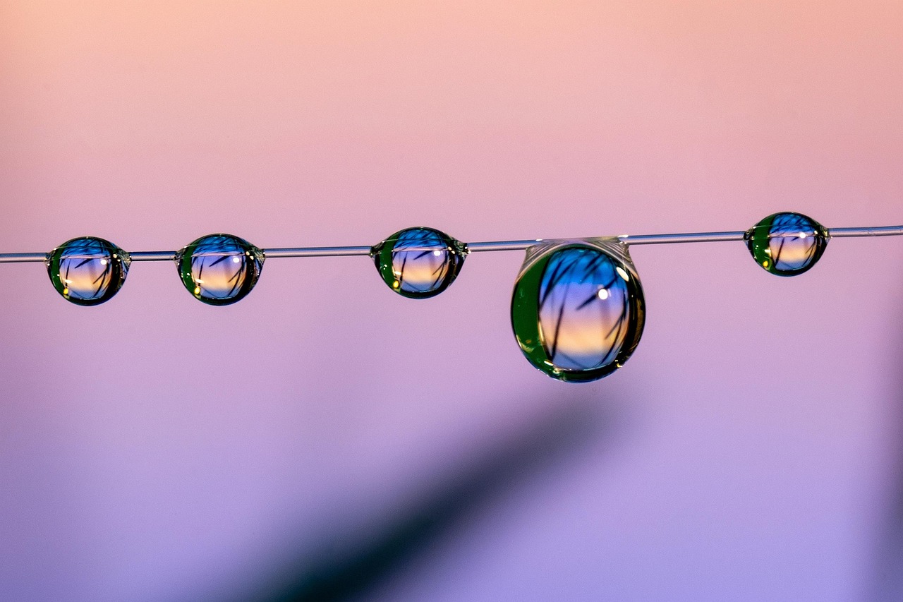 绿摩尔：用流量详情下载教程app