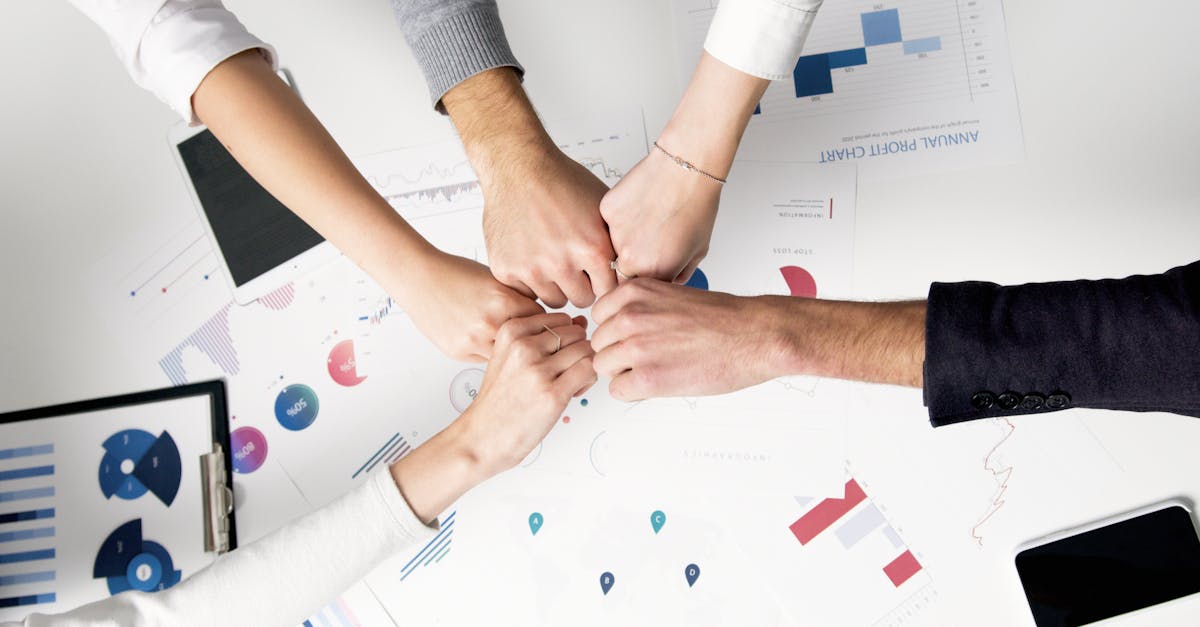 Mond梦都柠檬：注册公司代理记账报税代理