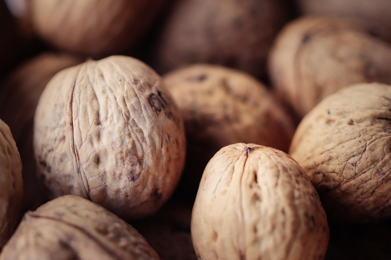 长春线上购买猫粮平台