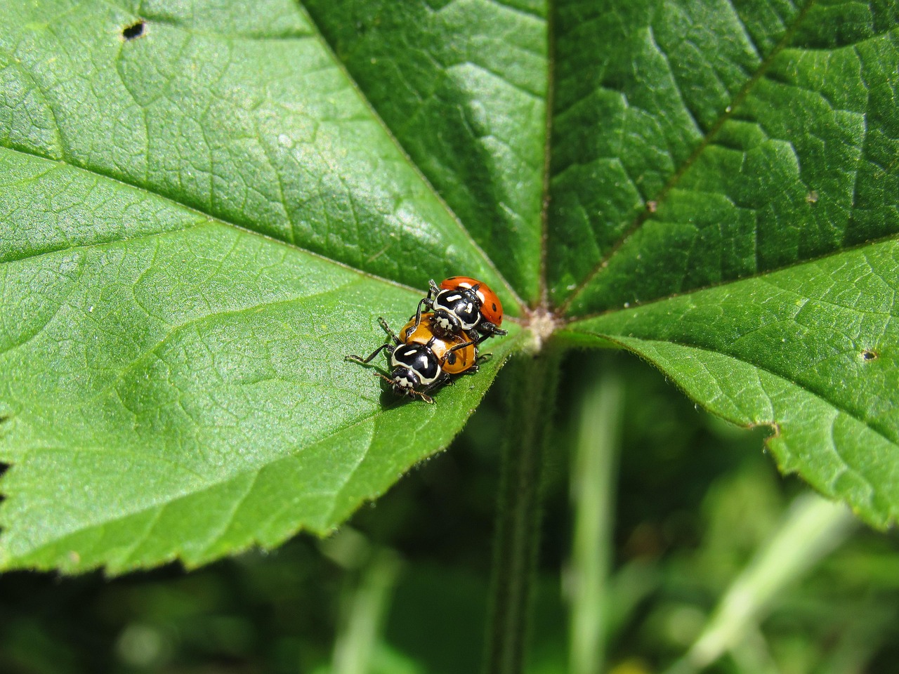 传奇世界wegame版辅助- 银川个体工商户注册代理