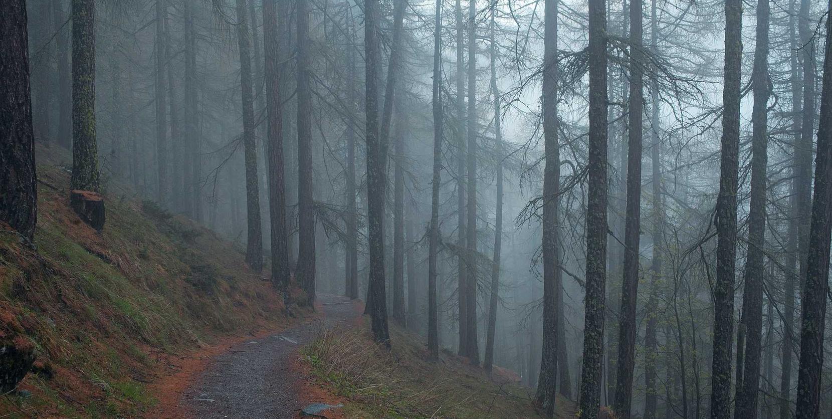 代理记账有什么平台好