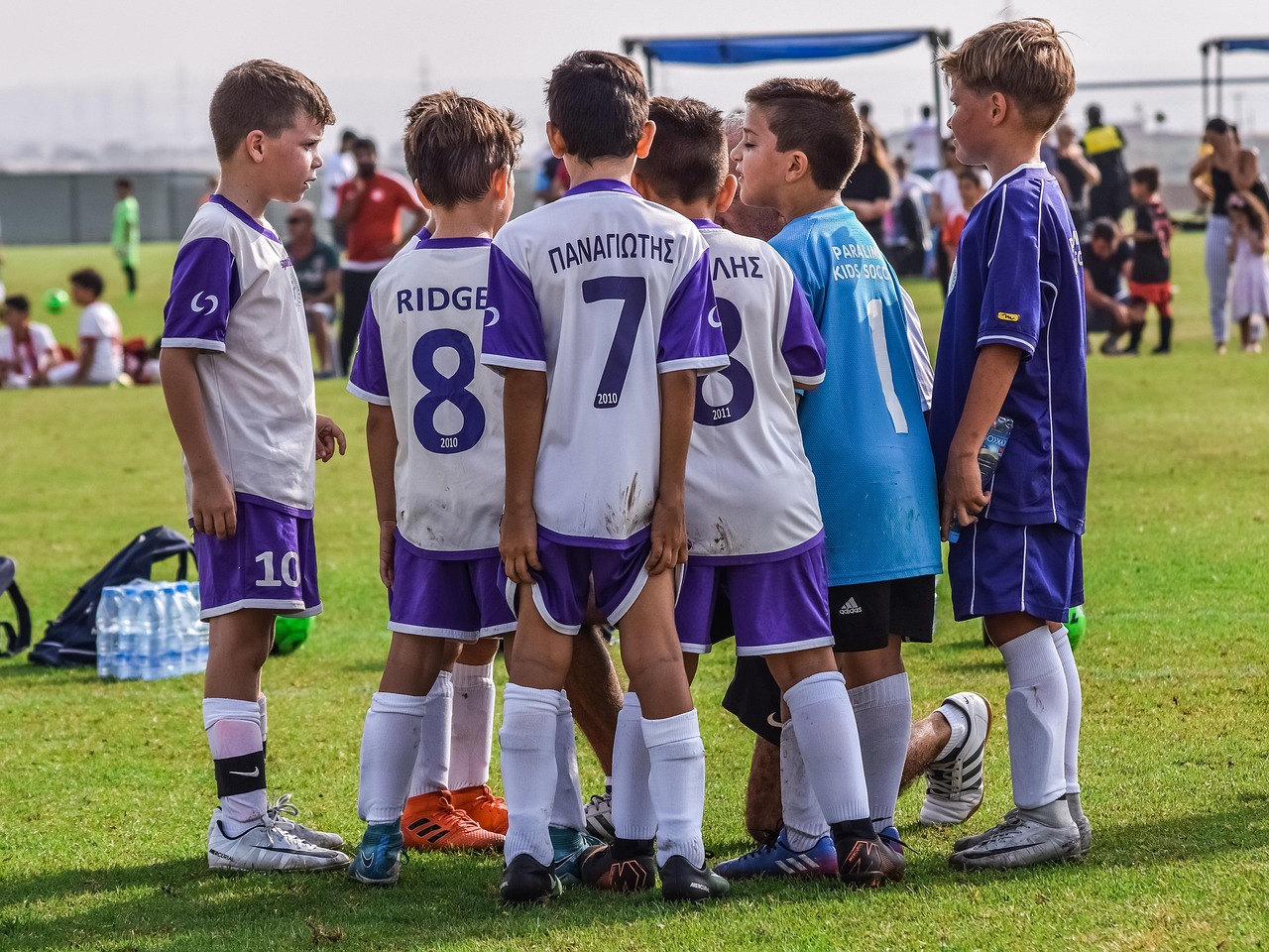 真江湖HD（满V）：南充市顺庆区商标注册代理