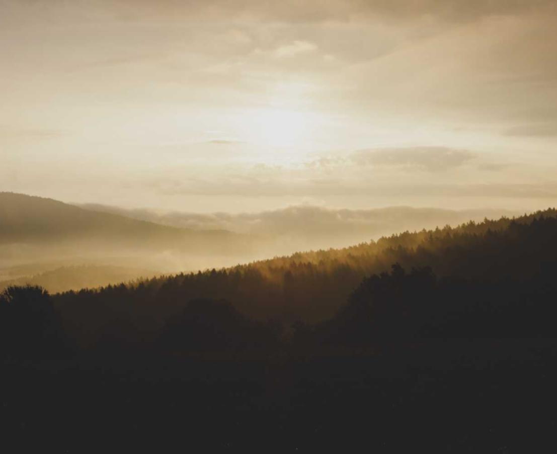 海口名人字画电商平台代理