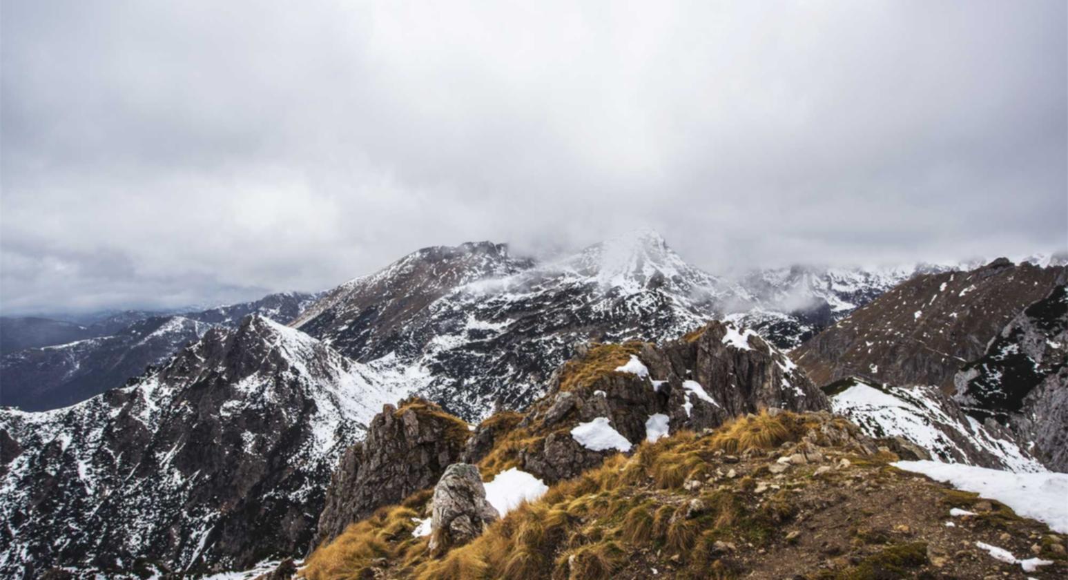 用友通信- 饮料购买平台调查