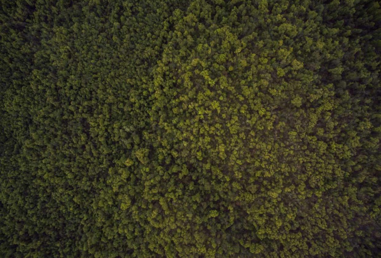 萤火突击：躺平影视app详情下载教程